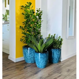 Slika 01.519. 26/31/38 Set od tri posude okruglog oblika - plava