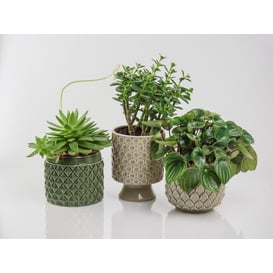 Slika 05.290.15 Posuda okruglog oblika - krem