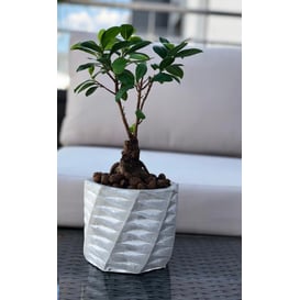 Slika 05.142.14 Posuda okruglog oblika - etno