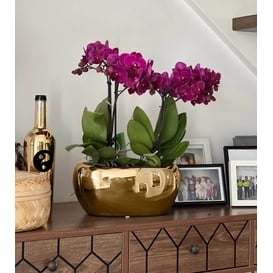 Picture of 31.097.27 Posuda ovalnog oblika - zlatna