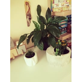 Picture of 48.016.23 Posuda ovalnog oblika - siva