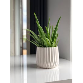 Slika 02.690.16 Posuda kružnog oblika - bijela