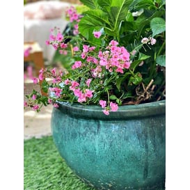 Slika 75.422.28 Niska posuda okruglog oblika - tirkizna