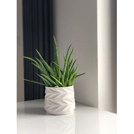 Slika 05.185.15 Posuda u obliku cilindra - bijela