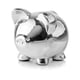 Picture of 09.106 Kasica prasica - srebrna 