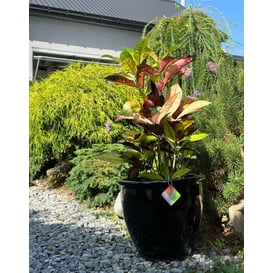 Slika 79.304. 27/31/38 Set od tri posude - crna