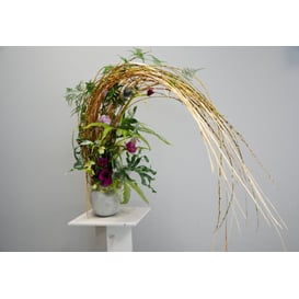 Picture of 05.164.14 Posuda u obliku jajeta - siva