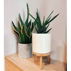 Slika 05.162.14 Posuda okruglog oblika - etno