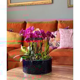 Slika 07.138.28 Niska posuda okruglog oblika - kobalt