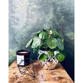 Slika 02.704.16 Posuda okruglog oblika - srebrna