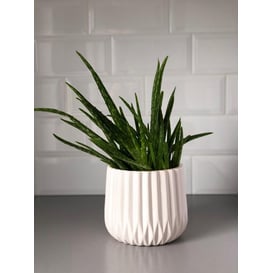 Slika 02.690.16 Posuda kružnog oblika - bijela