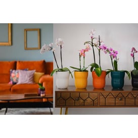 Slika 05.307.13 Posuda okruglog oblika - bijela 