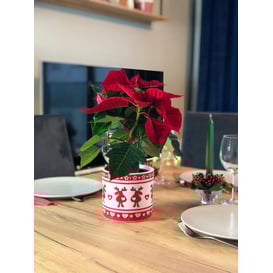 Picture of 35.038.14 Posuda četvrtastog oblika - crvena