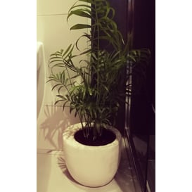 Picture of 48.014.19 Posuda okruglog oblika - siva