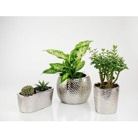 Slika 48.031.29 Posuda ovalnog oblika - srebrna