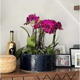 Slika 07.138.28 Niska posuda okruglog oblika - kobalt