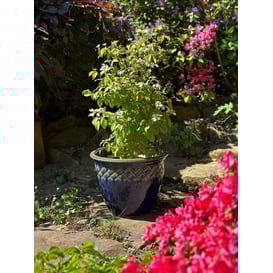 Picture of 79.015.25/30/37 Set od tri posude - smeđa