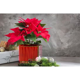 Slika 05.149.13 Posuda u obliku cilindra - crvena