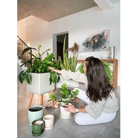 Slika 45.009.30 Posuda okruglo oblika s podlogom - krem