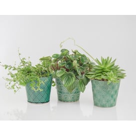 Slika 07.115.14 Posuda okruglog oblika - zelena