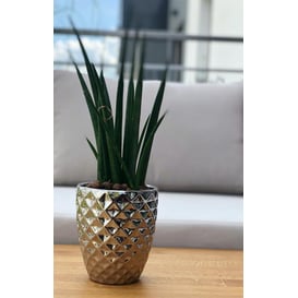 Slika 01.013.14 Posuda okruglog oblika - zlatna