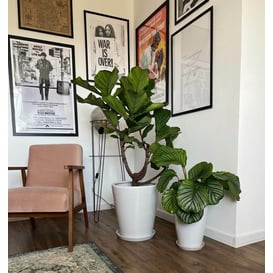 Slika 01.002. 26/32/38 Set od tri posude okruglog oblika sa podlogom - bijela