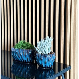 Slika 05.329.16 Posuda okruglog oblika - plava