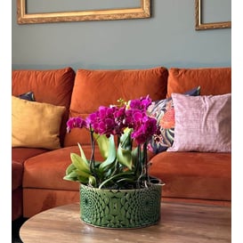 Slika 07.136.28 Niska posuda okruglog oblika - tamno zelena