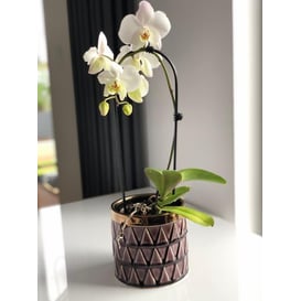 Picture of 09.124.14 Posuda okruglo oblika - ljubičasta/zlatna