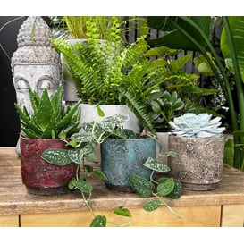 Slika 05.280.14 Posuda okruglog oblika - smeđa