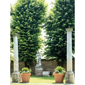 Slika 87.101 Posuda okruglog oblika sa rubom - terakota