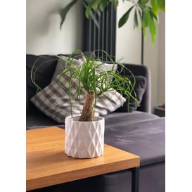 Slika 05.251.13 Posuda okruglog oblika - bijela