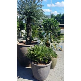 Slika 76.503 Pjeskarena posuda sa zadebljanim rubom - crna