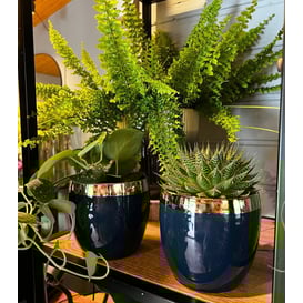 Picture of 09.144.14 Posuda okruglog oblika - zlatna/plava