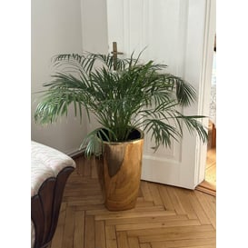 Slika 01.512. 57/61 Set od dvije posude četvrtastog oblika - zlatna