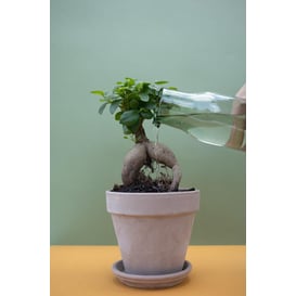 Slika ITA posuda "Vaso Standard" 78cm - grafit