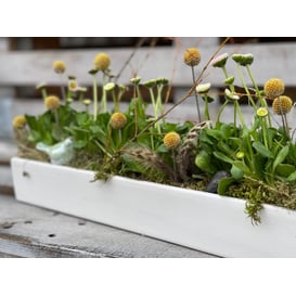 Slika 16.078.50 Posuda pravokutnog oblika - bijela