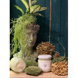 Picture of 46.015.17 Posuda u obliku glave - siva