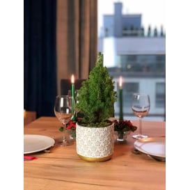 Slika 05.248.14 Posuda u obliku cilindra - zlatna