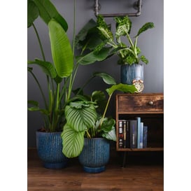 Slika 01.518. 24/27/30 Set od tri posude okruglog oblika - plava