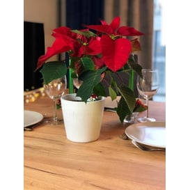 Slika 71.062.14 Posuda okruglog oblika - bijela 