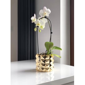 Slika 05.171.15 Posuda okruglog oblika - zlatna