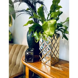 Slika 02.711.26 Vaza - zlatna