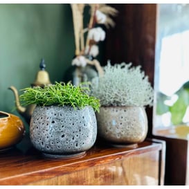 Slika 05.343.17 Posuda okruglog oblika - siva