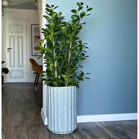 Slika 01.516. 40/44/47 Set od tri posude okruglog oblika - metvica (teraco)