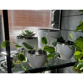 Picture of 31.073. 11/15/17/23 Set od 4 posude okruglog oblika - bijela/srebrna