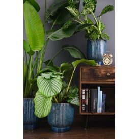 Slika 01.518. 24/27/30 Set od tri posude okruglog oblika - plava