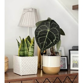 Slika VINTAGE 07.127.14 