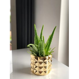 Slika 05.171.15 Posuda okruglog oblika - zlatna