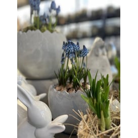 Picture of 05.164.14 Posuda u obliku jajeta - siva